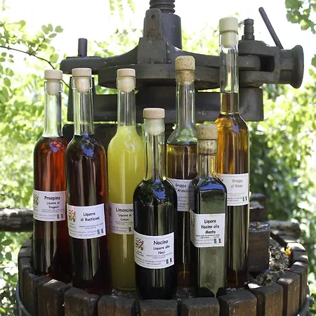 With Balcony Views Appartamento Sassoleone