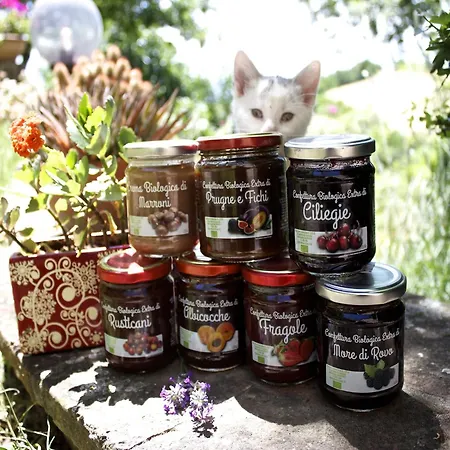 With Balcony Views Appartamento