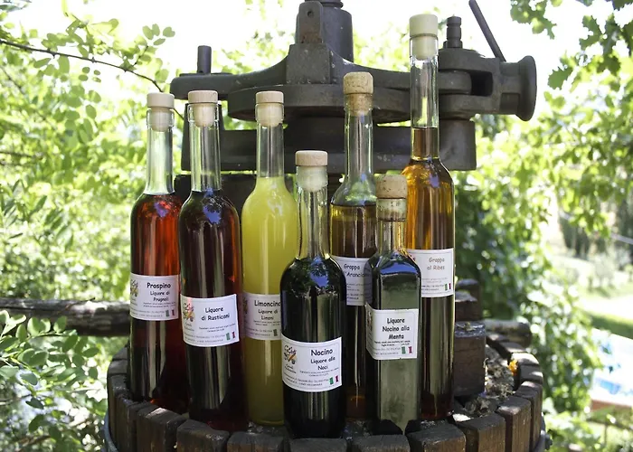 With Balcony Views Apartmán Sassoleone