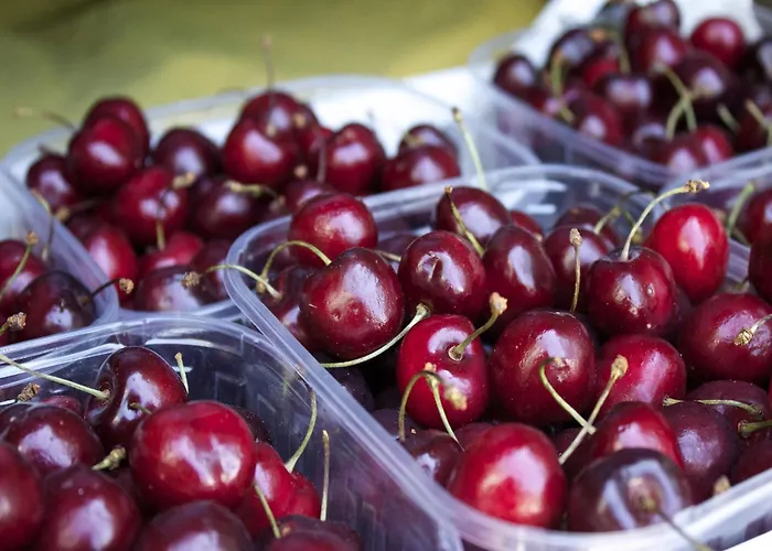 With Balcony Views * Sassoleone